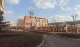 开源嘉苑爆料案件真相视频,揭秘真相背后的惊人内幕